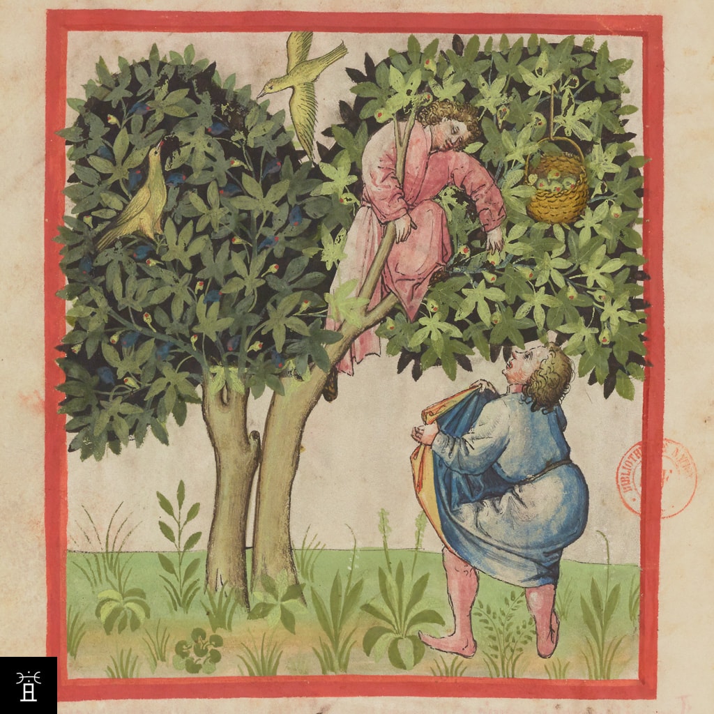 Tacuinum Sanitatis LAT 9333 f°2v © BNF