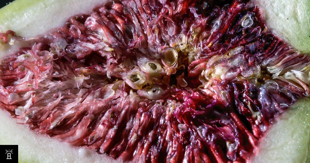 L'intérieur des Mamme en Novembre