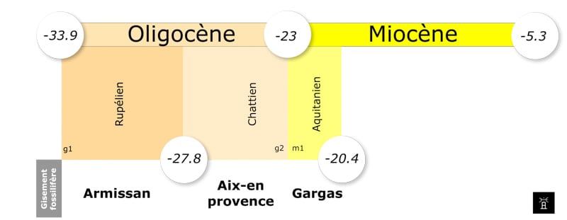 Echelle des temps géologiques (Ma): gisements fossilifères d'Armissan