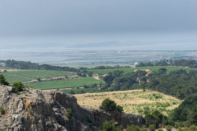 Le territoire del Bruguier (Domaine de Bertheliers) et les étangs de Campignol et de Bages-Sigean