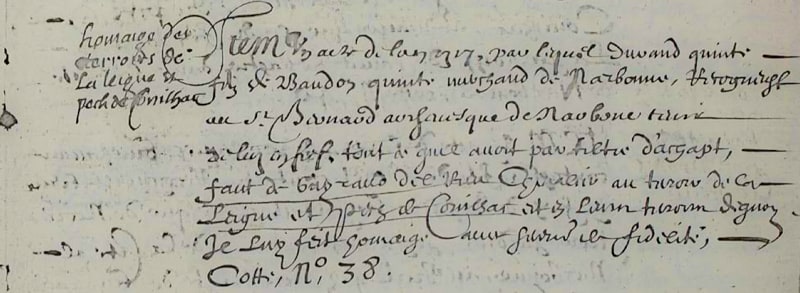 1317, Hommage des terroirs de la Leigne et du pech de Conilhac, Manuscrit MS314 Rocque