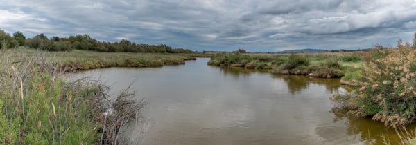 Sur les traces de l'ancien étang de Capitoul