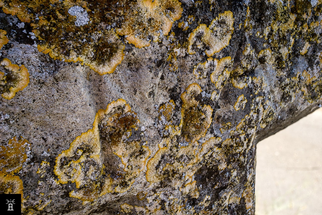 l'inscription MA au revers de la croix de Pailhès