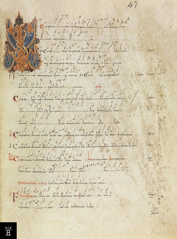 MS8 f°47r