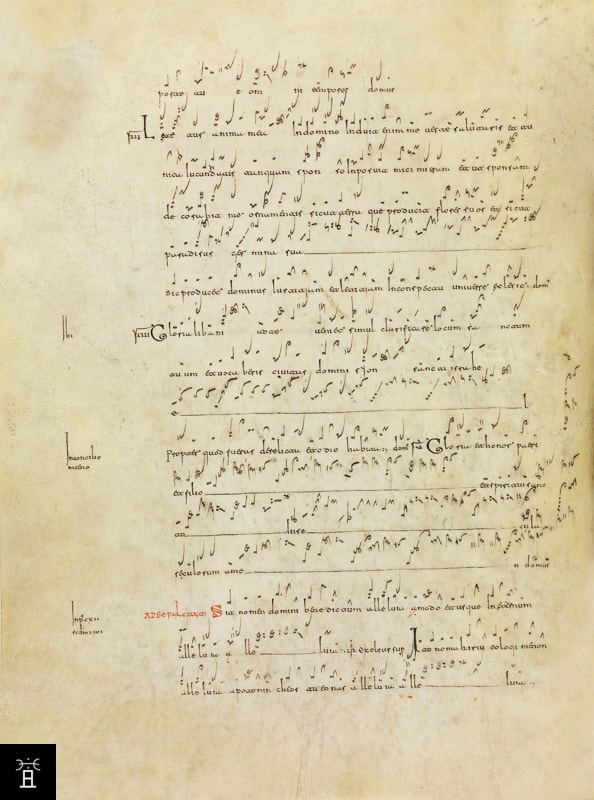 MS8 "Ad sepulcrum" F°49v