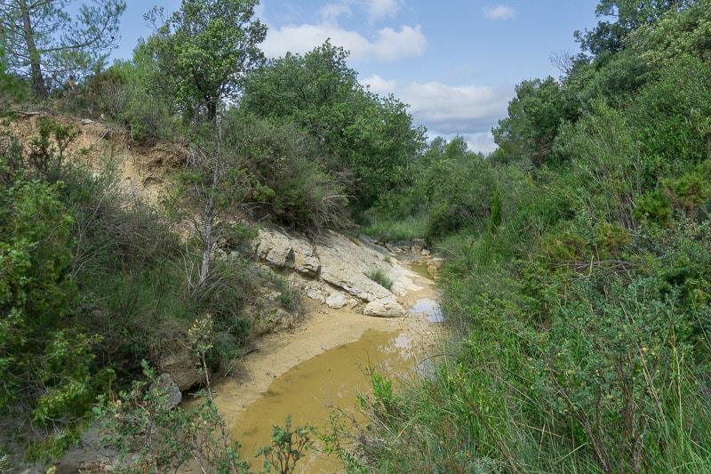 Ruisseau de la Soulane