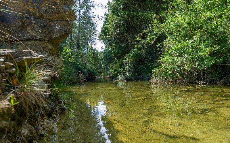 Ruisseau des Gourgs