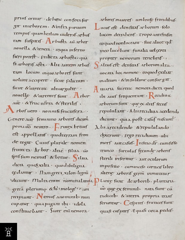 Isidorus, Etymologiae, liber XIV DE TERRA ET PARTIBVS, début 900, St. Gallen, Stiftsbibliothek, Cod. Sang. 232 