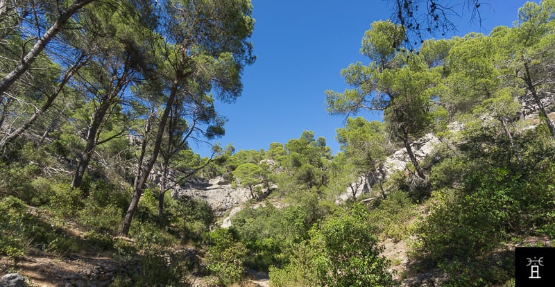 Le territoire de Caunegon