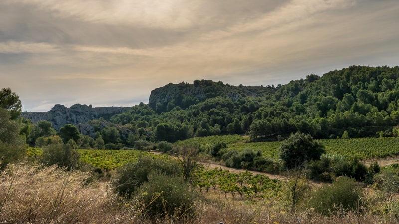 Le territoire des Olieux