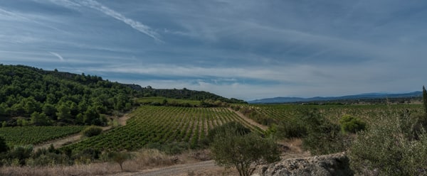 Le territoire des Olieux