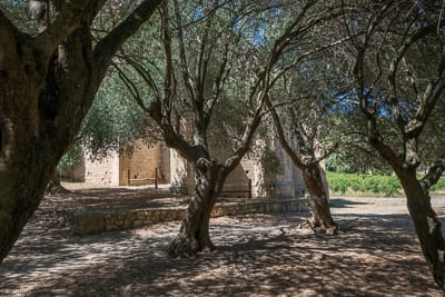 Cimetière aux oliviers, ancien cimetière de Sainte-Marie des Oubiels