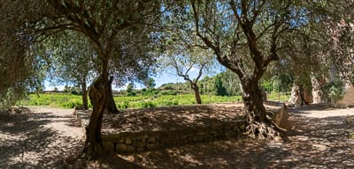 Cimetière aux oliviers, ancien cimetière de Sainte-Marie des Oubiels