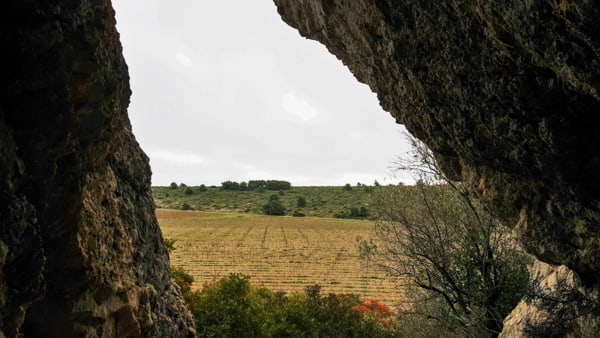 Paysage de la garrigue de la Pierre © JYB