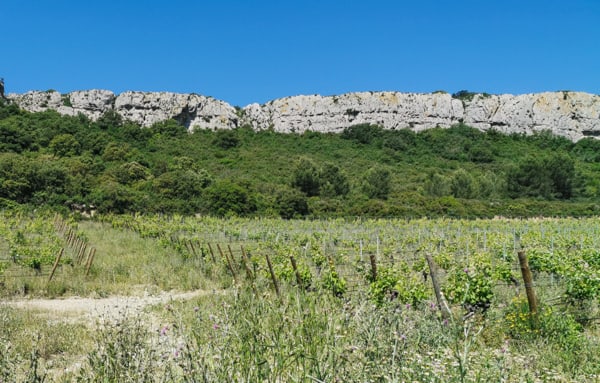 Paysage de la garrigue de Saint Pierre © JYB