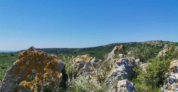 Paysage de la garrigue de Saint Pierre © JYB