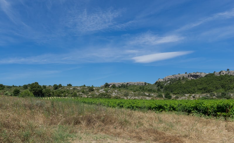 Paysage de la garrigue de Saint Pierre 