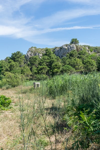 Paysage de la garrigue de Saint Pierre 