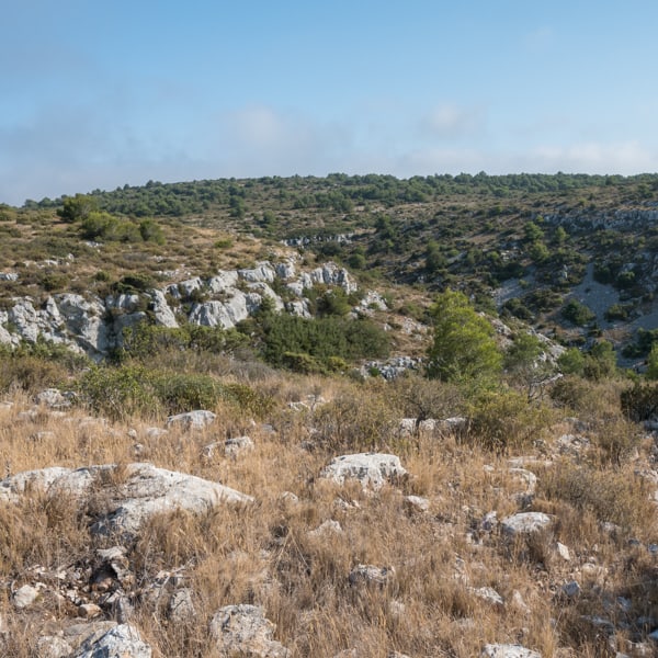 Paysage de la garrigue de Saint Estève (Grange Neuve)