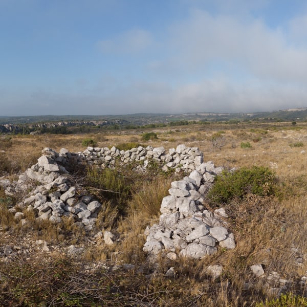 Paysage de la garrigue de Saint Estève (Grange Neuve)