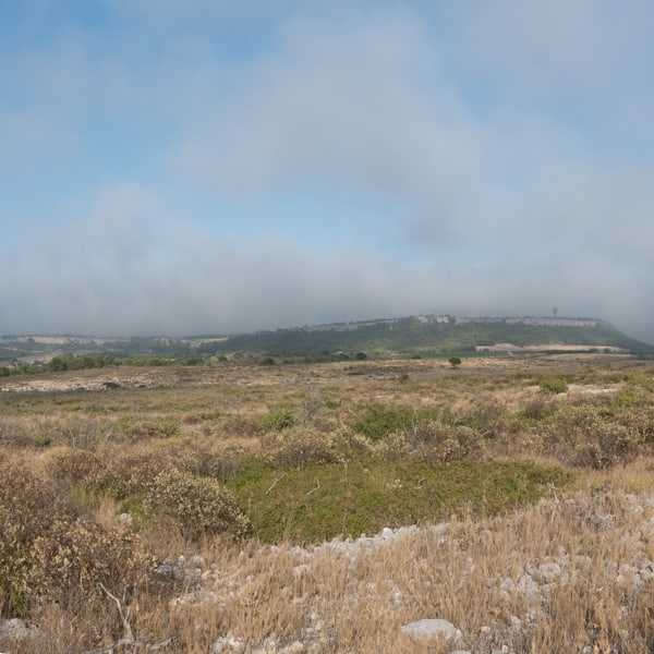 Paysage de la garrigue de Saint Estève (Grange Neuve)