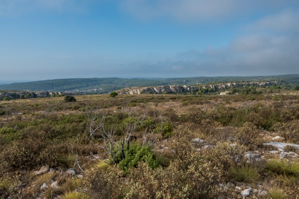 Paysage de la garrigue de Saint Estève (Grange Neuve)