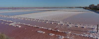 Salin de Saint-Martin