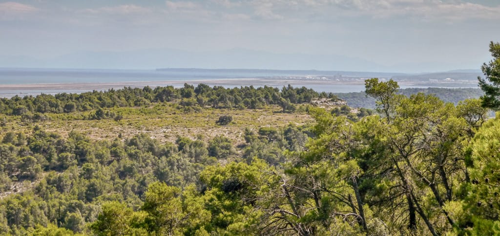 Le plateau des Caunes