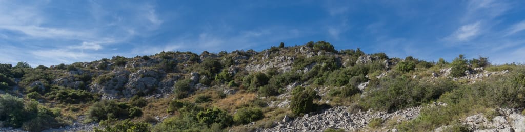 La garrigue de Figuières