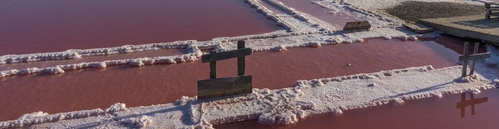 Les salins de Gruissan