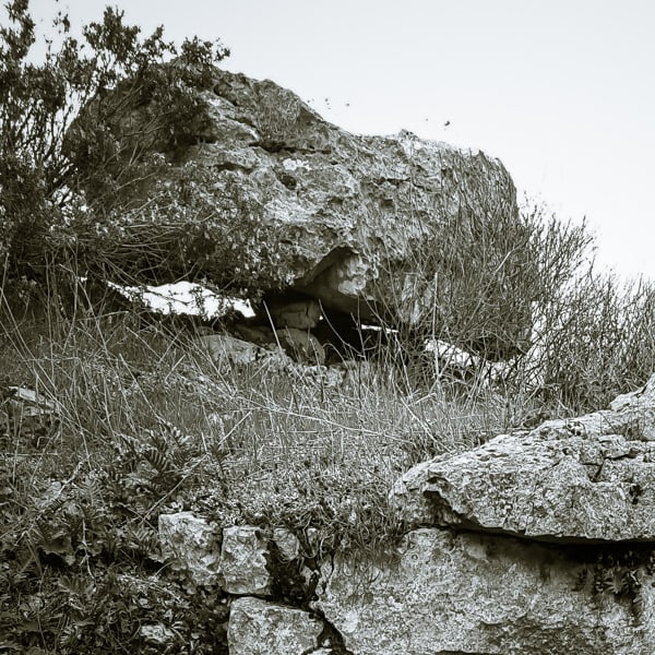 La Tortue de Moujan