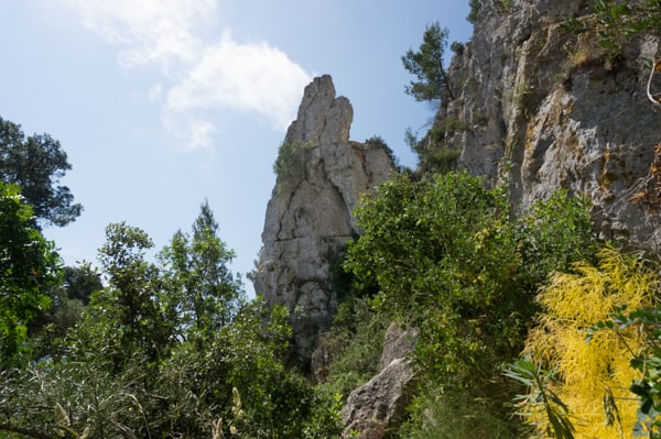 La dent de las Caounos