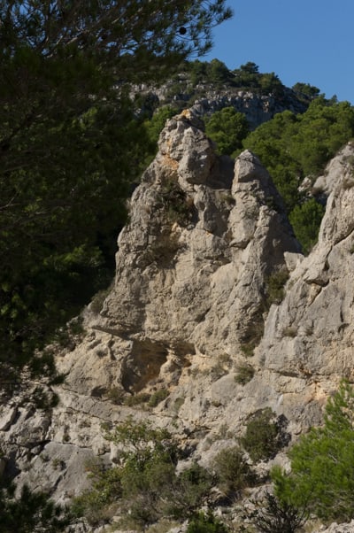 Le Chameau de la Crouzades