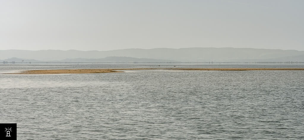 Etang de l'Ayrolle