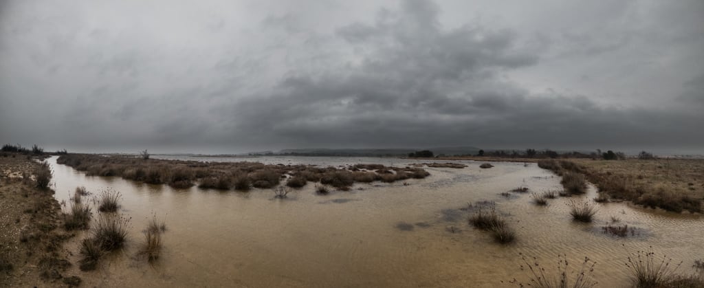 Débordement des lagunes côtières, étang de Mateille.